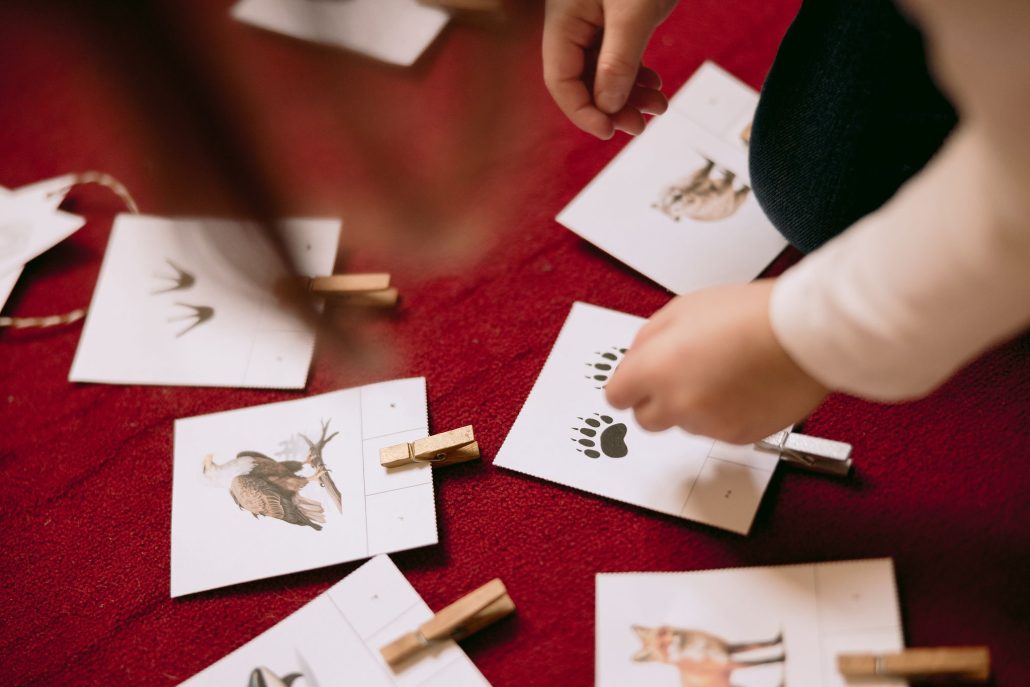 Animaux du monde montessori