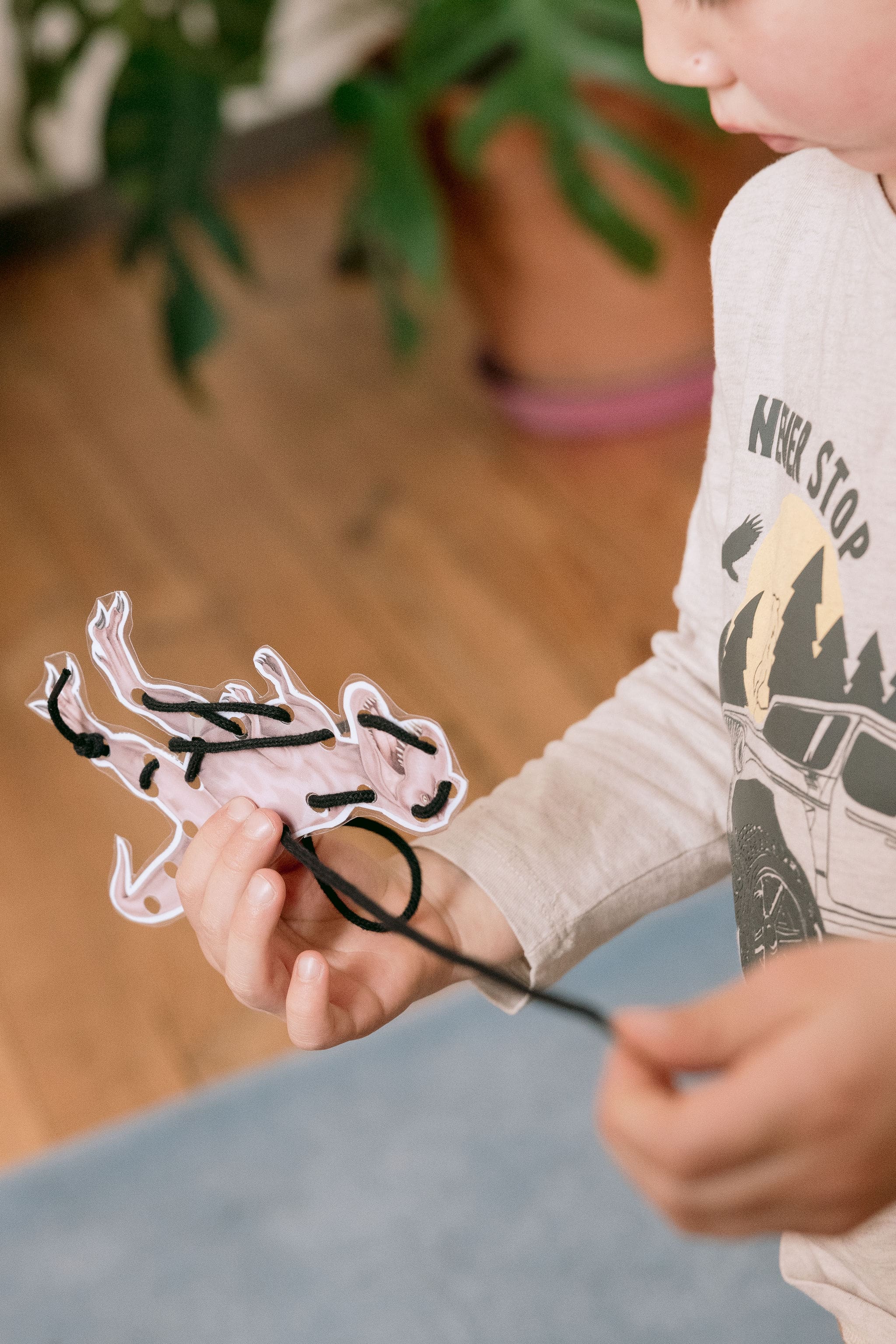 Montessori Dinosaures à la maison