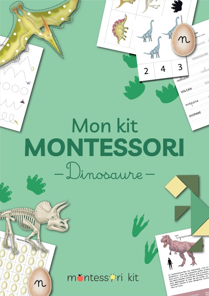 activite montessori pour enfants theme dinosaure